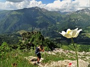 86 Genziana di Clusius (Gentiana clusii) per la Cresta del Gallo e Cima Menna